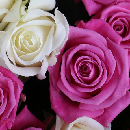 Bouquet Mix of 301 rose