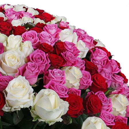 Bouquet Mix of 301 rose