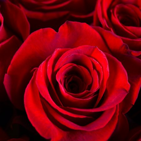 Order the bouquet in our online shop. Delivery!