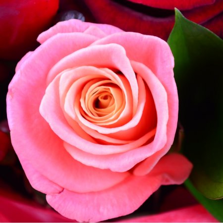 Order the bouquet in our online shop. Delivery!