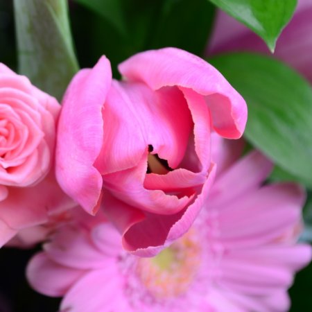 Bouquet Surprise for beloved 
