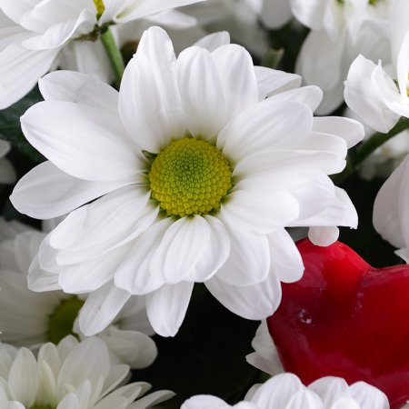Order the bouquet in our online shop. Delivery!