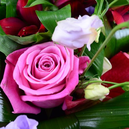 Order the bouquet in our online shop. Delivery!