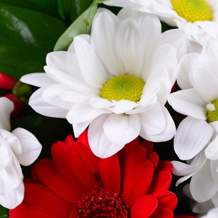 Order the bouquet in our online shop. Delivery!