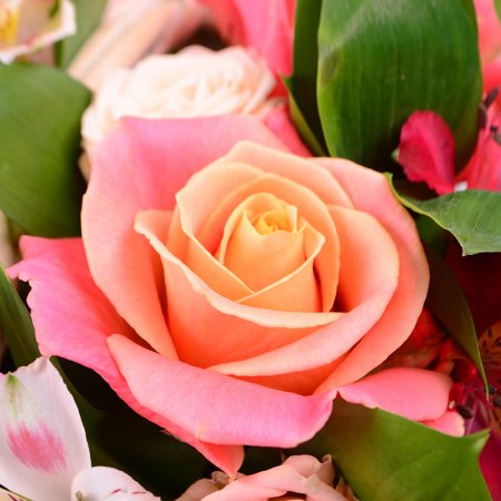 Order the bouquet in our online shop. Delivery!