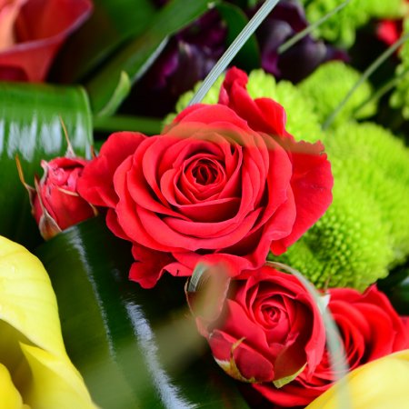Order the bouquet in our online shop. Delivery!