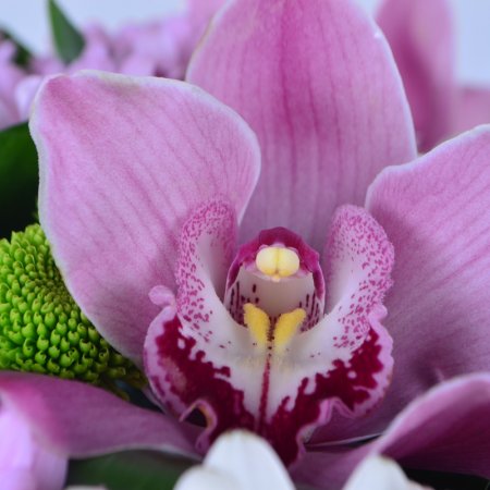 Order the bouquet in our online shop. Delivery!