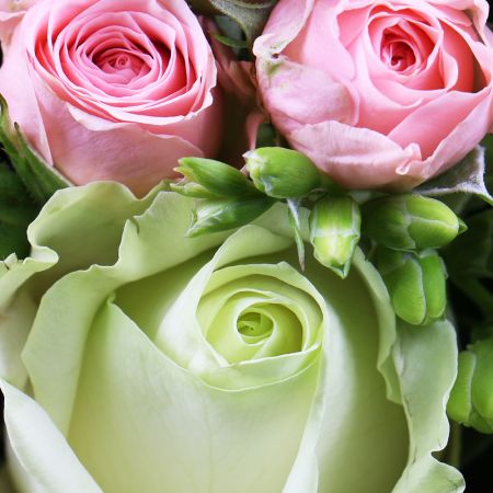 Order the bouquet in our online shop. Delivery!