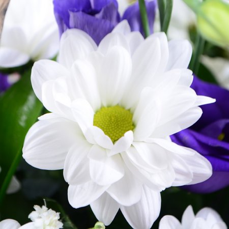 Order the bouquet in our online shop. Delivery!