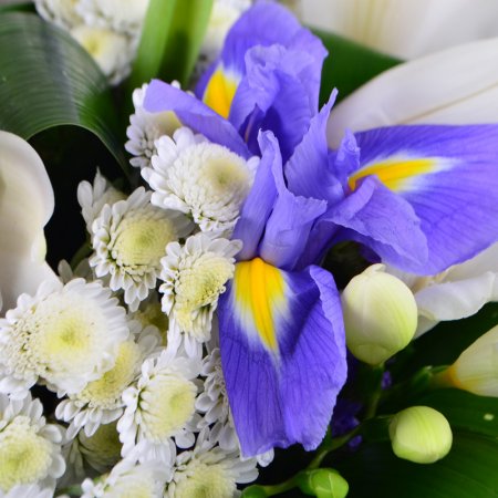 Bouquet White-and_blue
