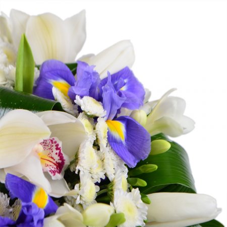 Bouquet White-and_blue