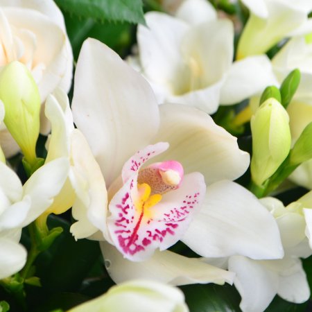 Order the wedding basket in our online shop. Delivery!