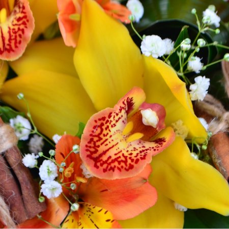Order the bouquet in our online shop. Delivery!