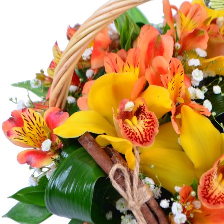 Order the bouquet in our online shop. Delivery!