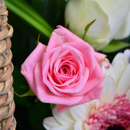 Order the bouquet in our online shop. Delivery!