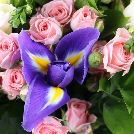 Mild bouquet, bouquet of white freesias