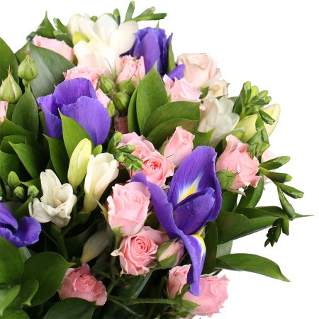 Mild bouquet, bouquet of white freesias