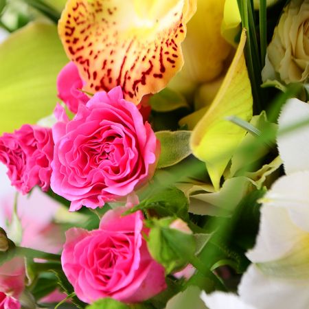 Classy bouquet of carnations, orchids and roses on ua-flowers.com