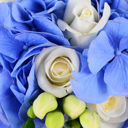 hydrangea, rose (11 pcs.), freesia, packaging, ribbon