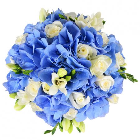 hydrangea, rose (11 pcs.), freesia, packaging, ribbon