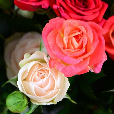 Order bouquet  in our online shop. Delivery!