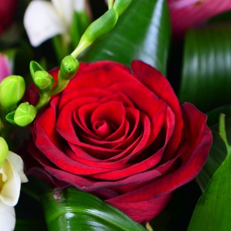 Order bouquet  in our online shop. Delivery!