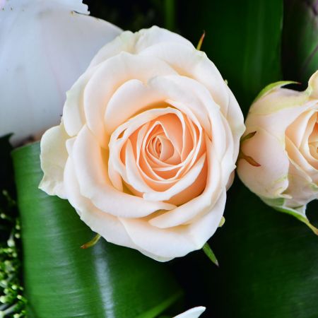 Order bouquet  in our online shop. Delivery!