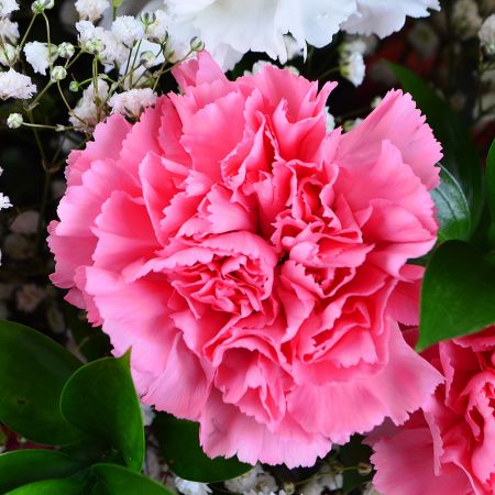 Bouquet with carnations with delivery