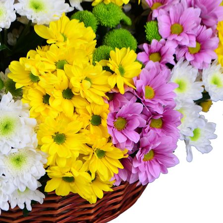 Bouquet Basket of chysanthemums (101 pcs.)