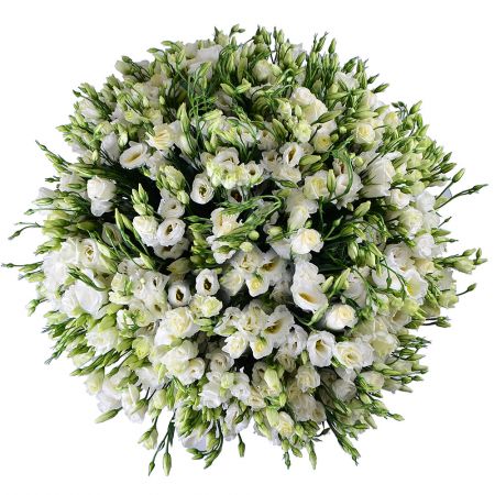 Delicate bouquet ''101 eustoma'' with delivery in any city