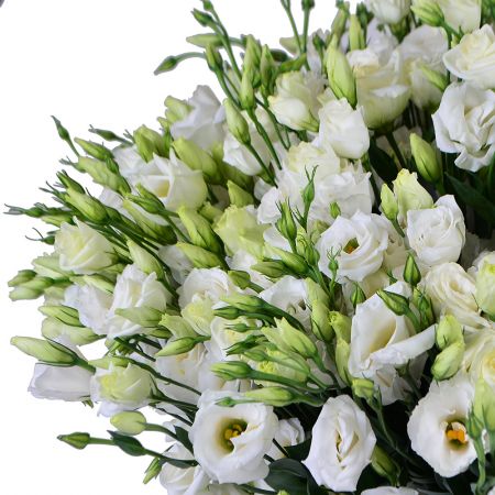 Delicate bouquet ''101 eustoma'' with delivery in any city