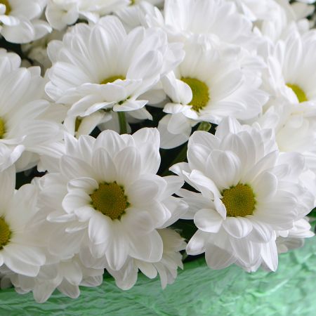 Beautiful 'Big bouquet of chrysanthemums' to buy with delivery