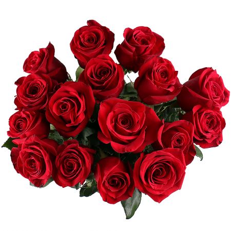 Bouquet Bouquet of 15 roses (1 meter)