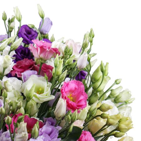 Bouquet 101 multicolored eustoma
