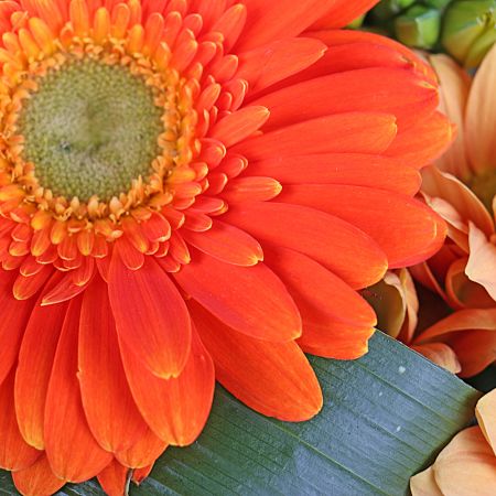 Order orange bouquet of ''Autumn mix of 11 flowers'' with delivery
