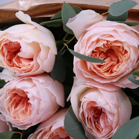 English roses, bouquet of english roses, david austin roses, cream bouquet,, bouquet of roses, cream
