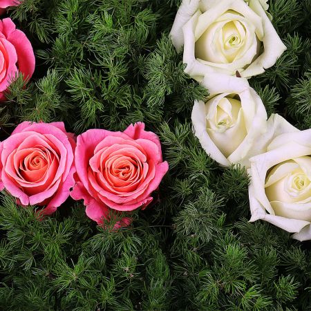 Order delightful bouquet Love box with delivery to ane city