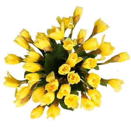 Bouquet Bouquet of daffodils (35 pcs.)
