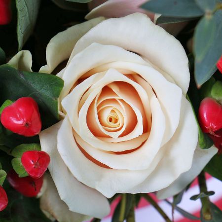 Bouquet Talea