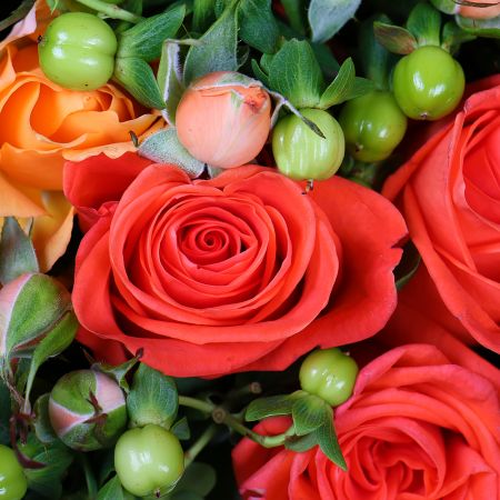 Order the refined composition in our online shop. Delivery!