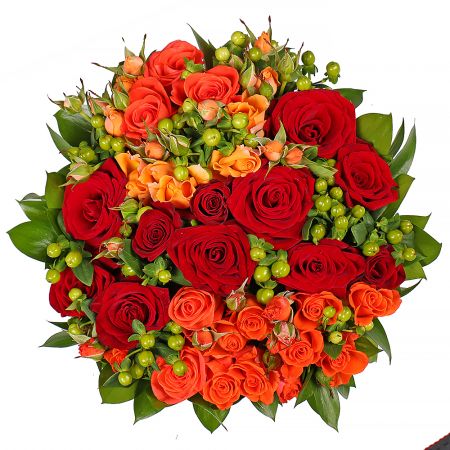 Order the refined composition in our online shop. Delivery!