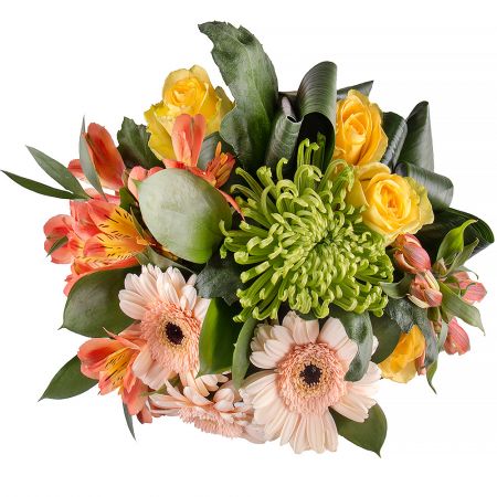 gerbera, chrysanthemum, rose (5 pcs.), alstroemeria, packaging, ribbon