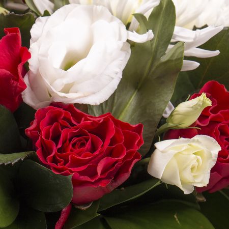 Bouquet Quiet dawns