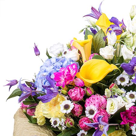 callas, hydrangea, clematis, eustoma, freesia, carnation, packaging, ribbon