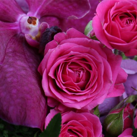 pink hydrangea, bouvardia (2 pcs.), spray roses (3 pcs.), scabiosa (3 pcs.), speedwell (3 pcs.), chamelacium, packaging, ribbon