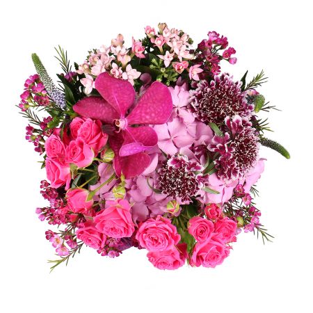 pink hydrangea, bouvardia (2 pcs.), spray roses (3 pcs.), scabiosa (3 pcs.), speedwell (3 pcs.), chamelacium, packaging, ribbon