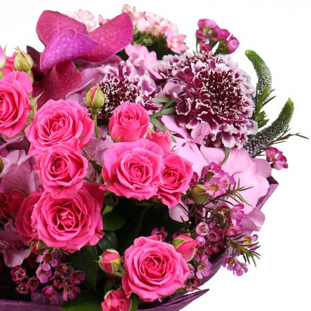 pink hydrangea, bouvardia (2 pcs.), spray roses (3 pcs.), scabiosa (3 pcs.), speedwell (3 pcs.), chamelacium, packaging, ribbon