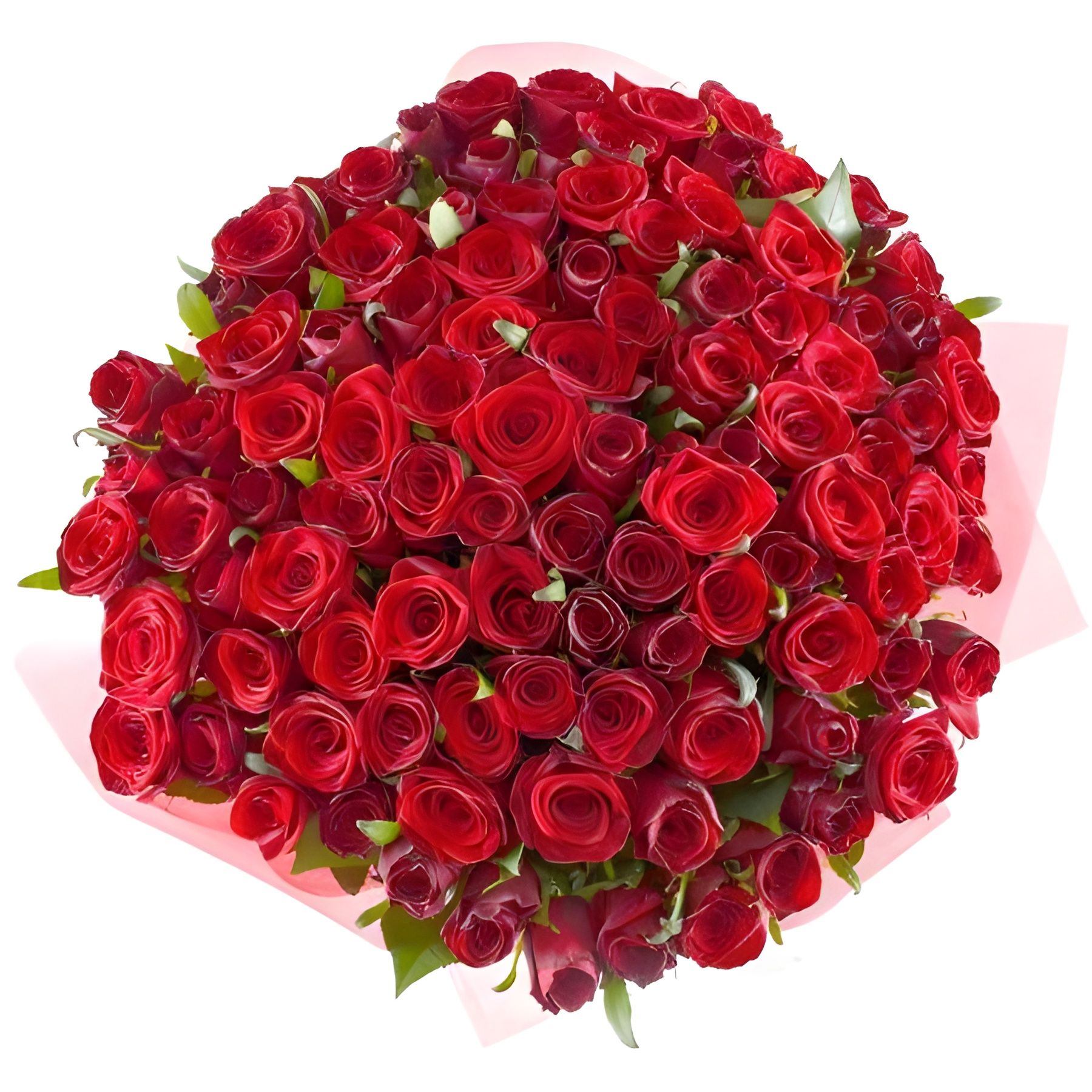rose (101 pcs.), packaging, ribbon