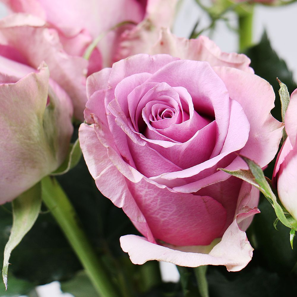 Bouquet Rose Memory Lane by piece