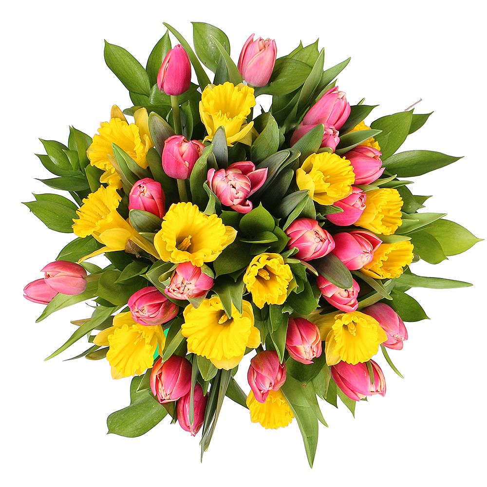 Bouquet Tulips and narcissus